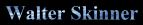 Walter Skinner